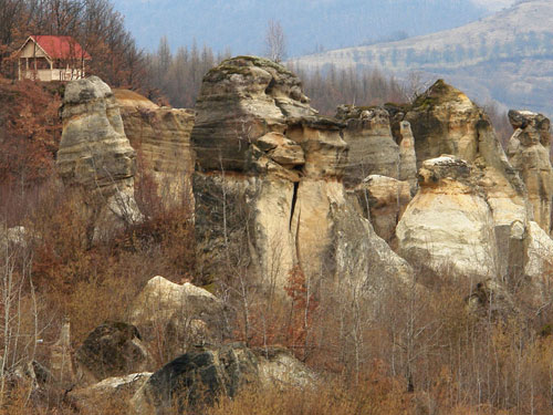 Foto amenajari neavenite la Gradina Zmeilor (c) Petru Goja